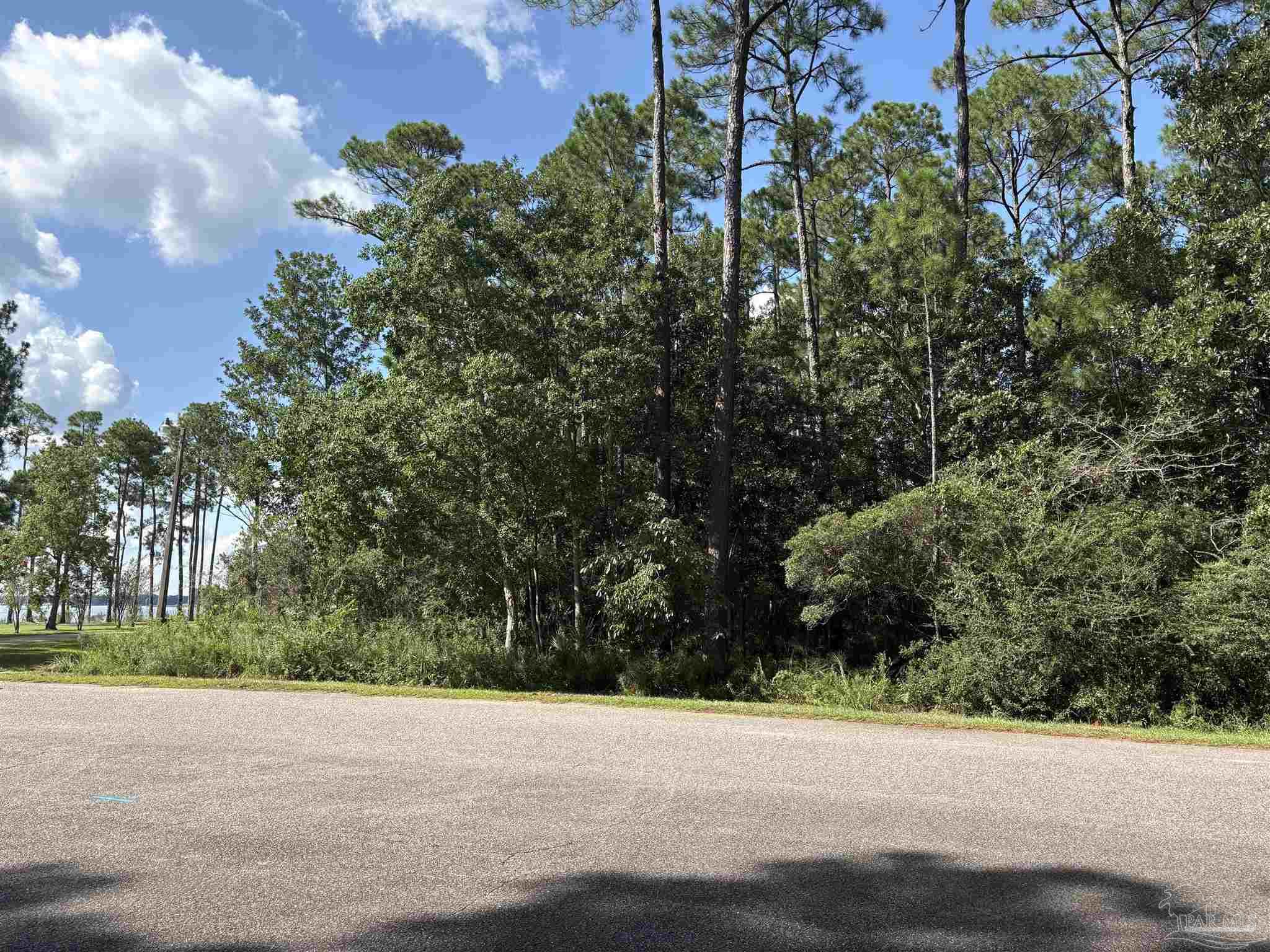 4568 Bayside Drive Milton, FL 32583 - Photo 3 of 13 a view of a garden with a tree