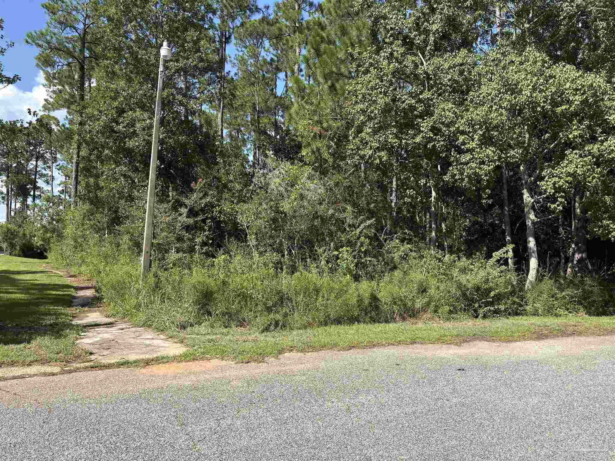 4568 Bayside Drive Milton, FL 32583 - Photo 9 of 13 a view of a yard with a tree