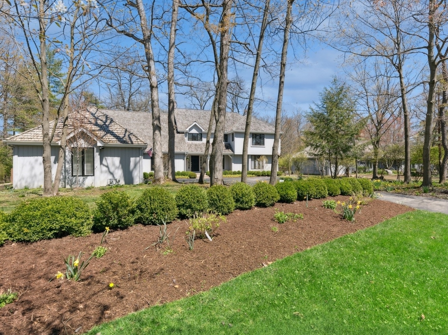 a row of palm trees and a building in the background