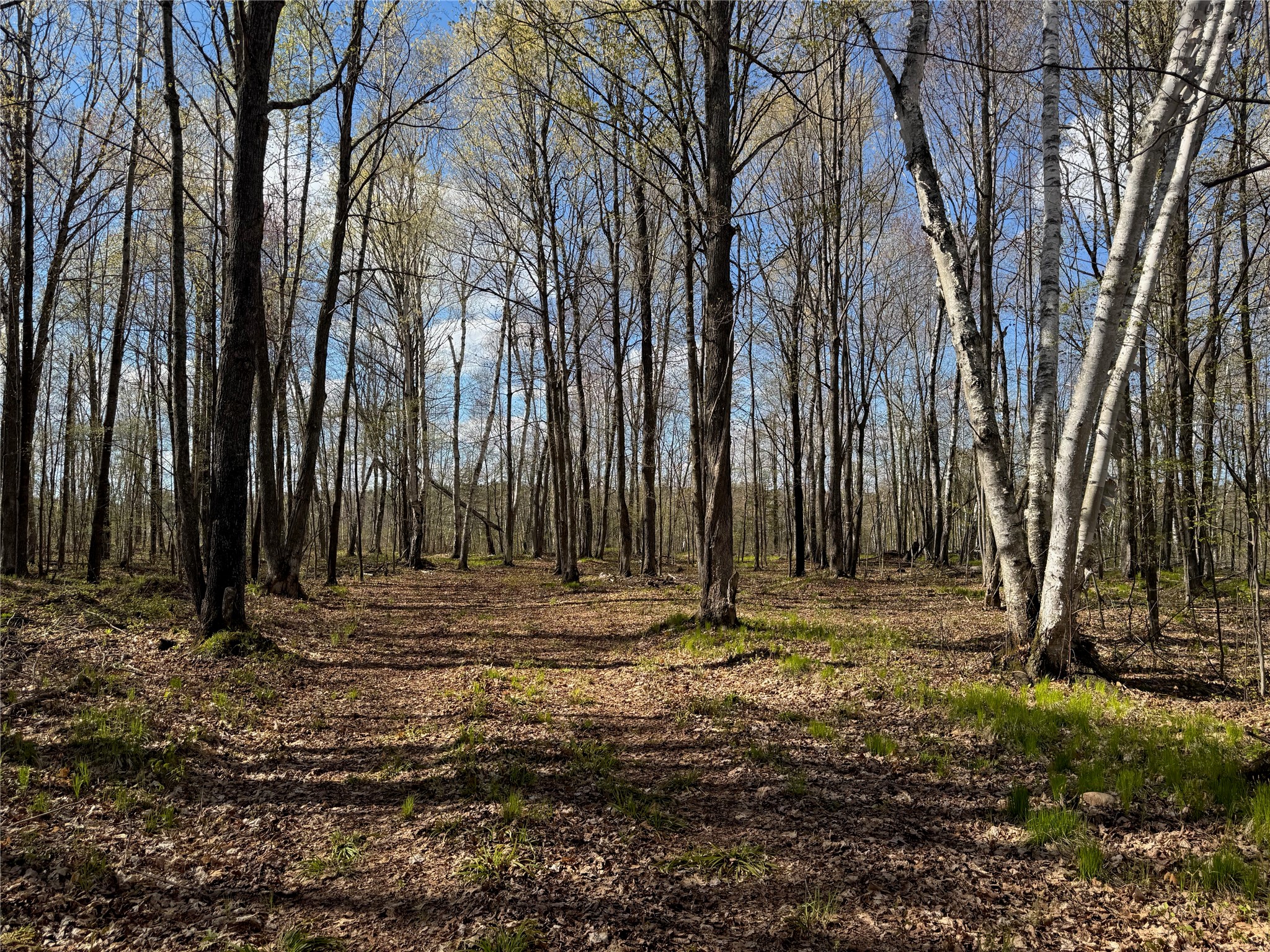 Lot 7 Trapper Trail Hayward, WI 54843 - Photo 36 of 42