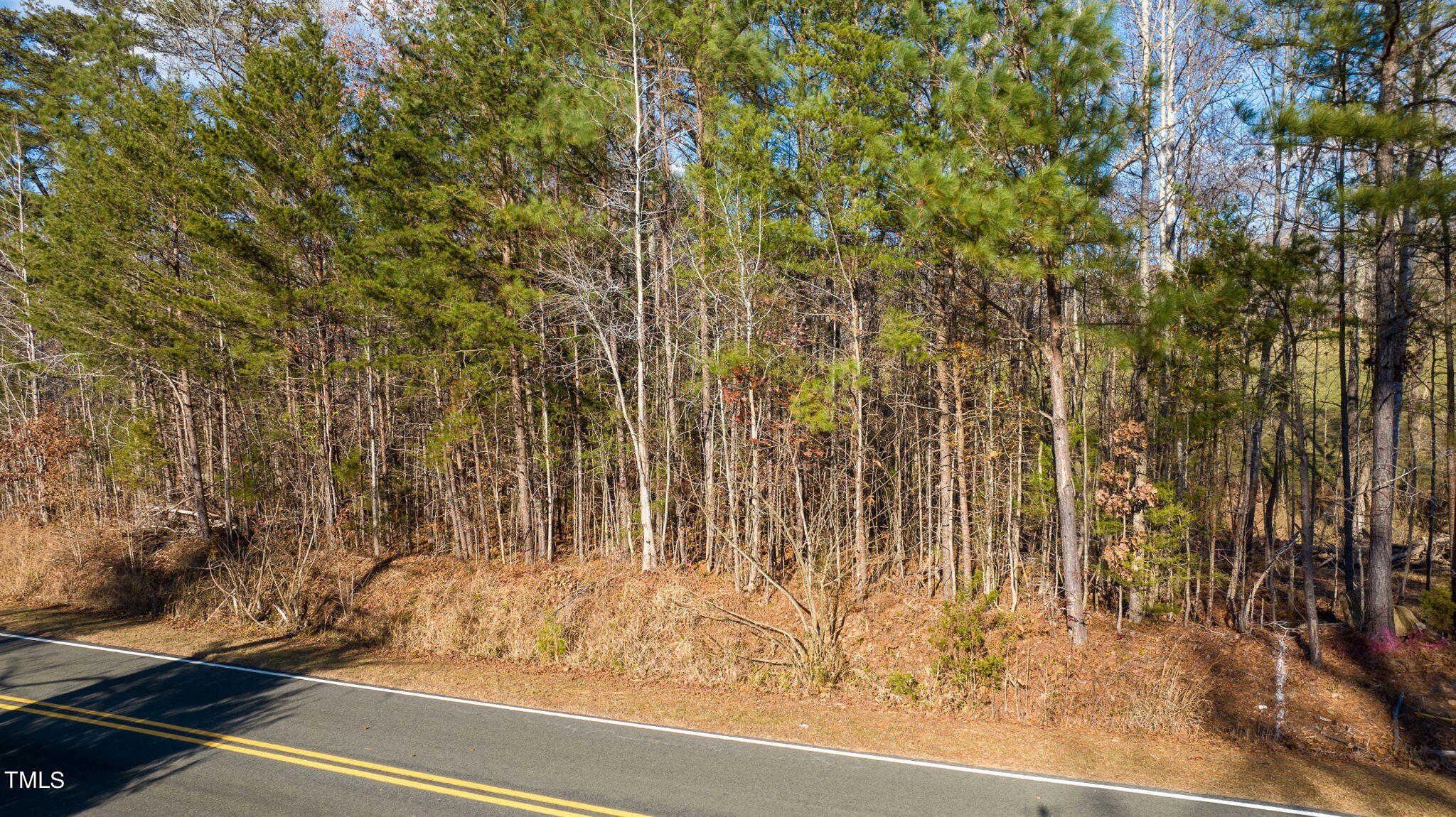 11-web-or-mls-DJI_0266-HDR