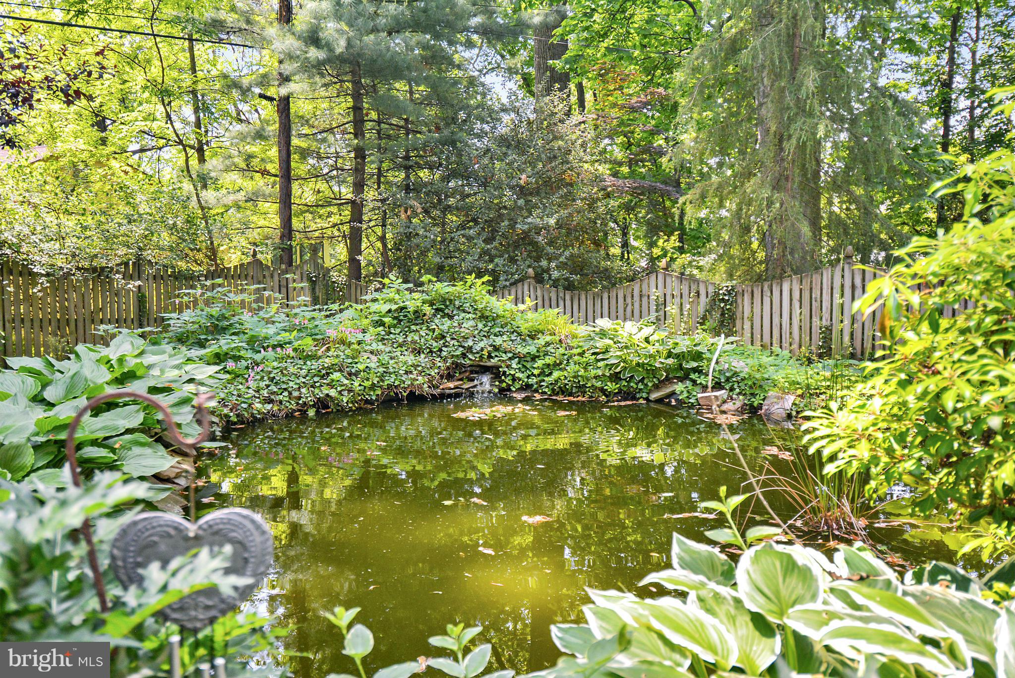6805 Ridgewood Road Baltimore, MD 21286 - Photo 22 of 28 Koi Pond