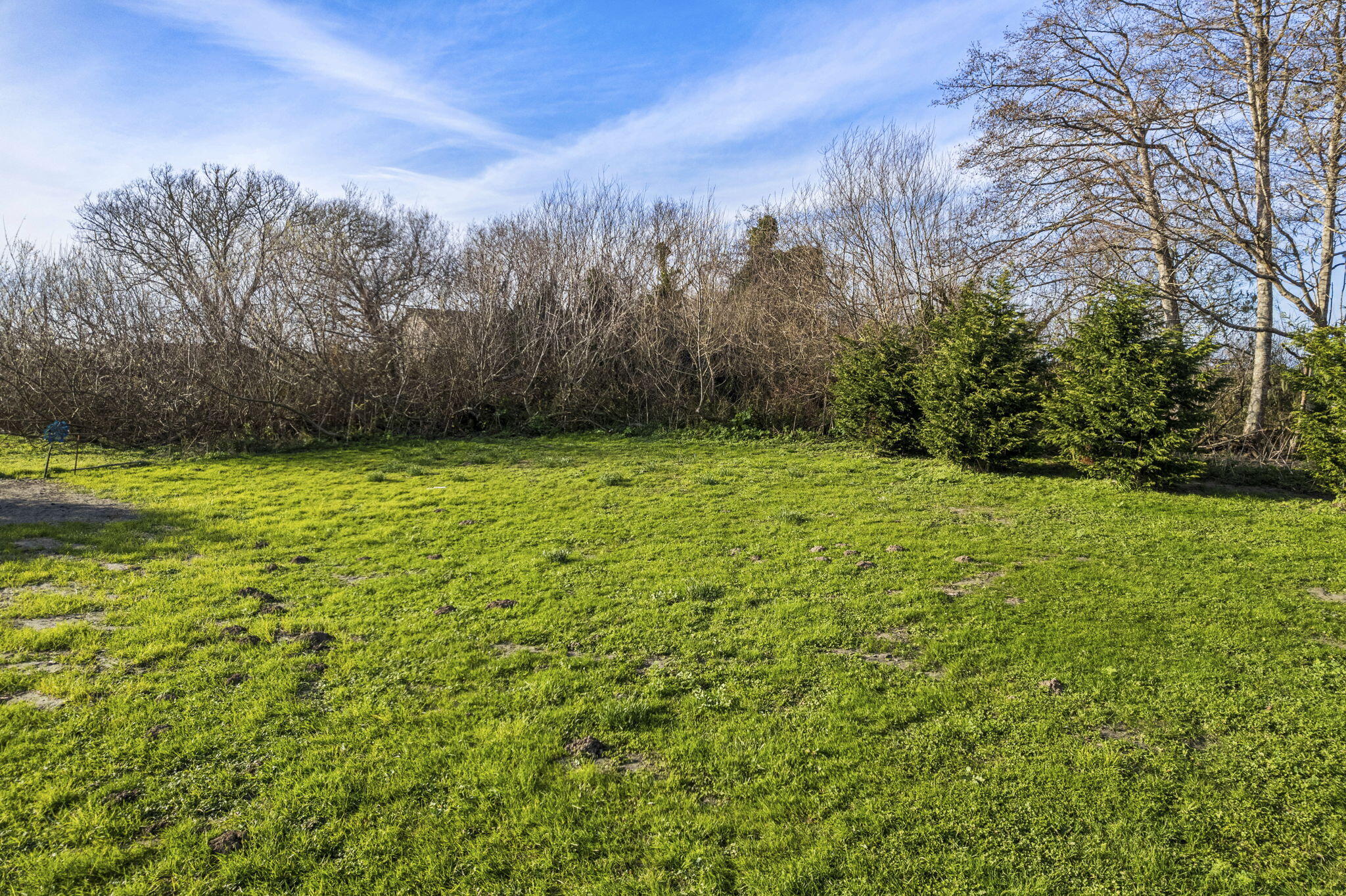 2835 Centerville Road Ferndale, CA 95536 - Photo 4 of 11