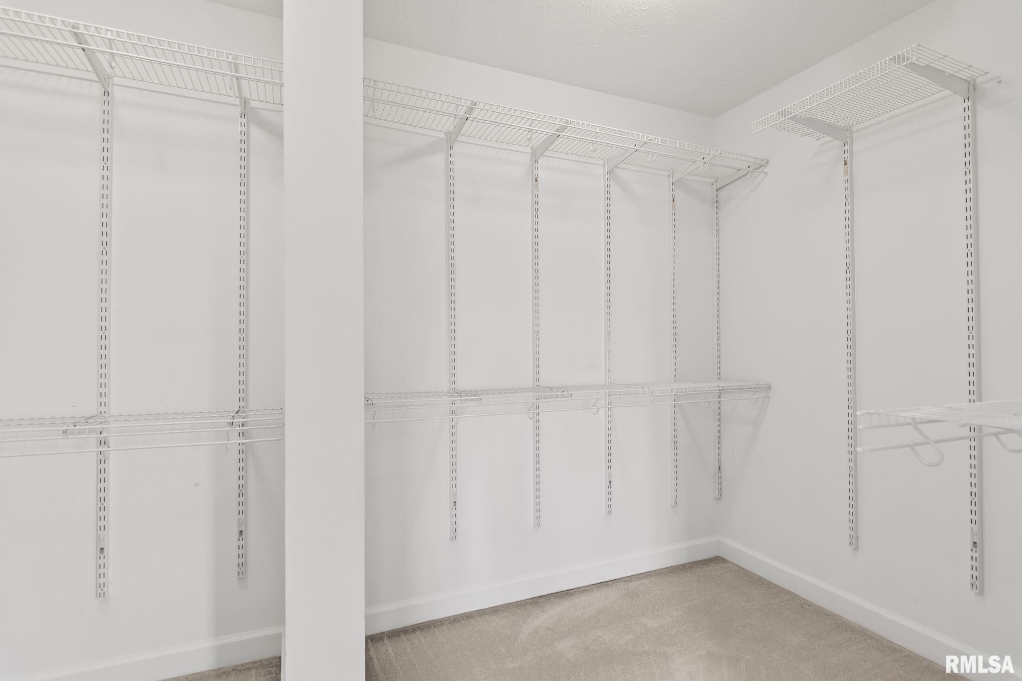 401 Cherry Circle Williamsville, IL 62693 - Photo 18 of 52