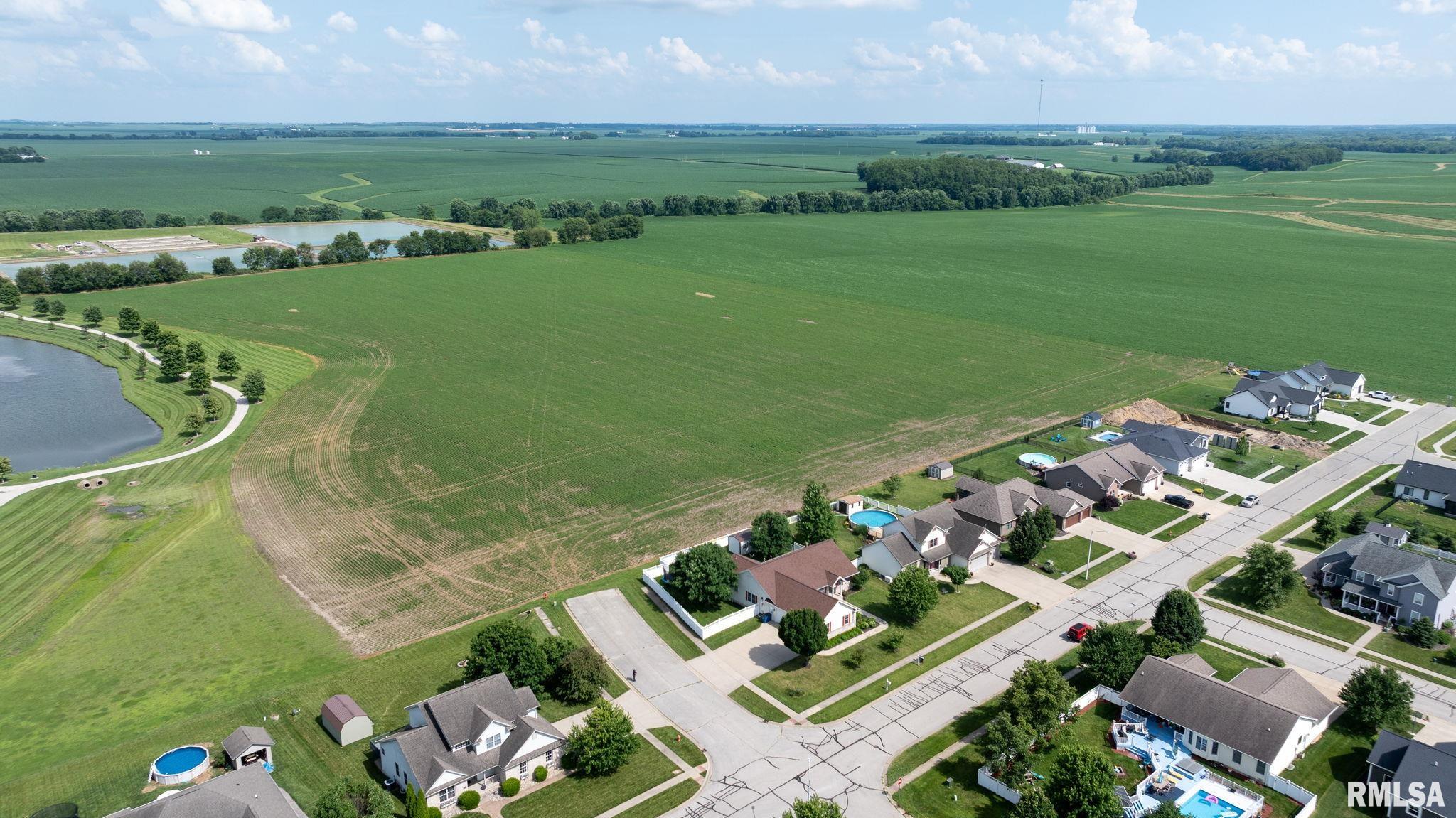 401 Cherry Circle Williamsville, IL 62693 - Photo 46 of 52