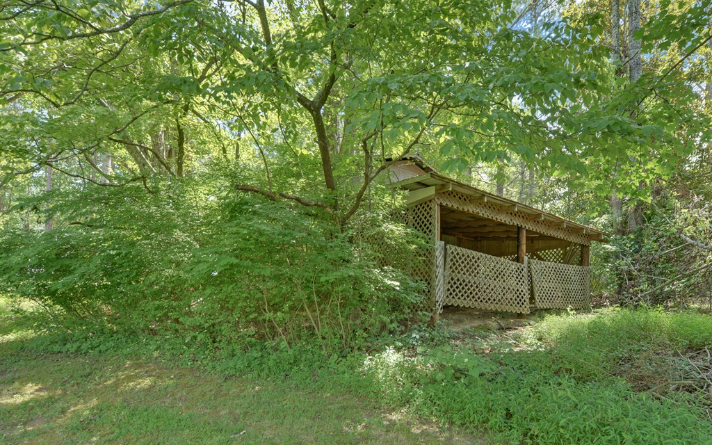 4311 Blue Ridge Drive Blue Ridge, GA 30513 - Photo 42 of 49
