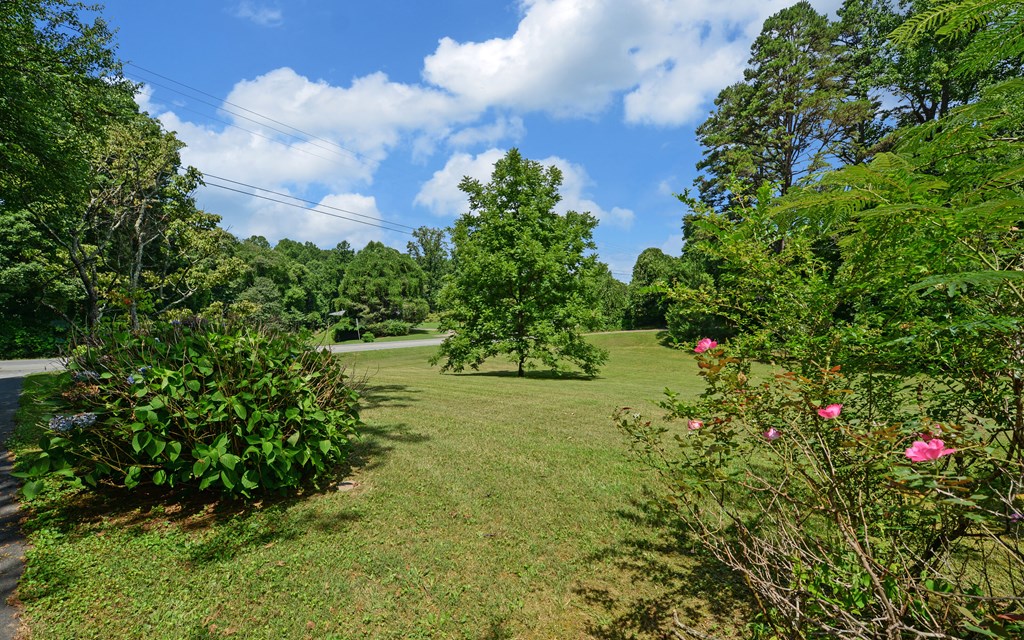 4311 Blue Ridge Drive Blue Ridge, GA 30513 - Photo 47 of 49