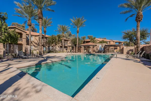 a view of a swimming pool with a lawn chairs under palm trees