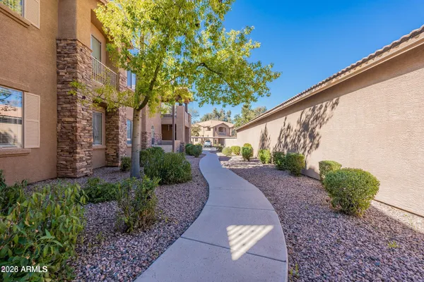 a couple of flower plants in front of house