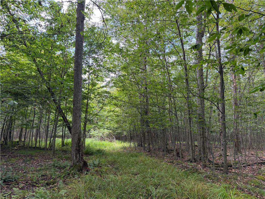 Vl Barney Road North Fillmore, NY 14735 - Photo 20 of 50 Gallery Image 20