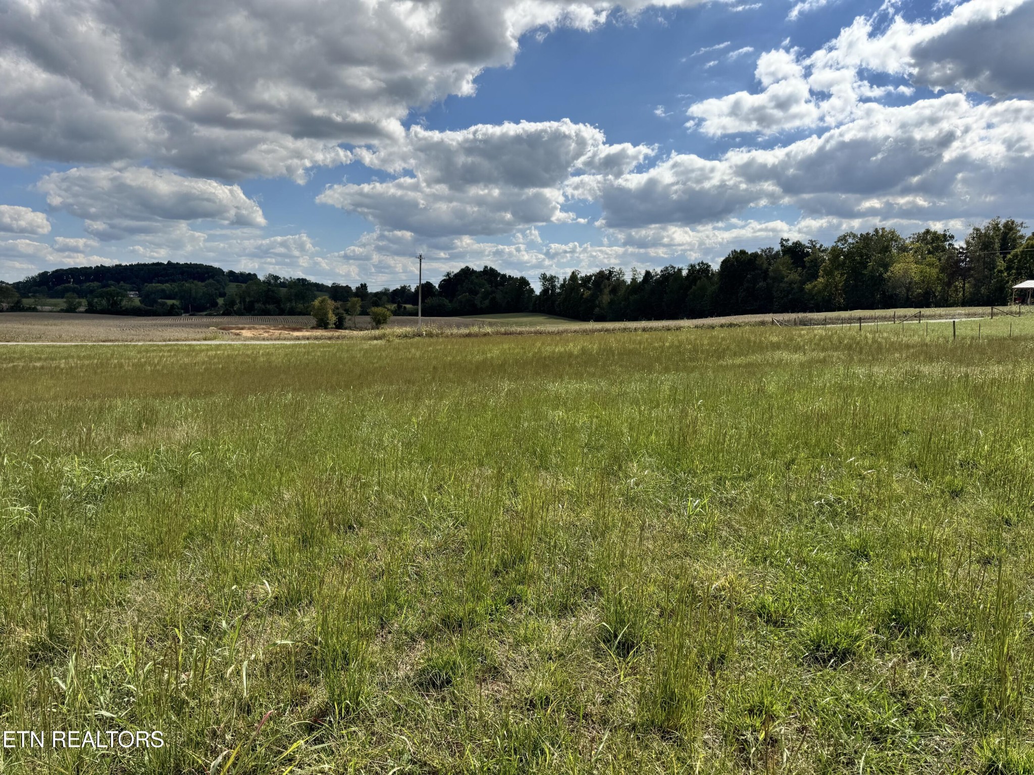 0 Raymond Road Monroe, TN 38573 - Photo 4 of 6