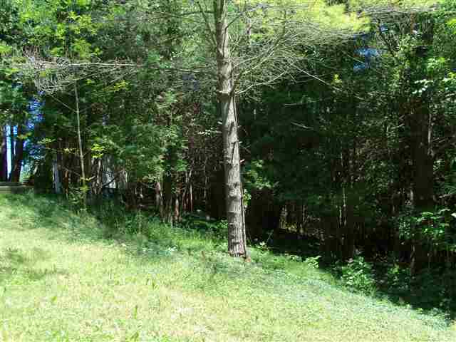 6268 Forester Road Carsonville, MI 48419 - Photo 16 of 22 31203833-15.JPG