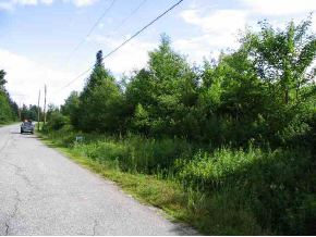 Lot 22 Lot 22 Ryder Pond Road Whitingham, VT 05361 - Photo 1 of 1