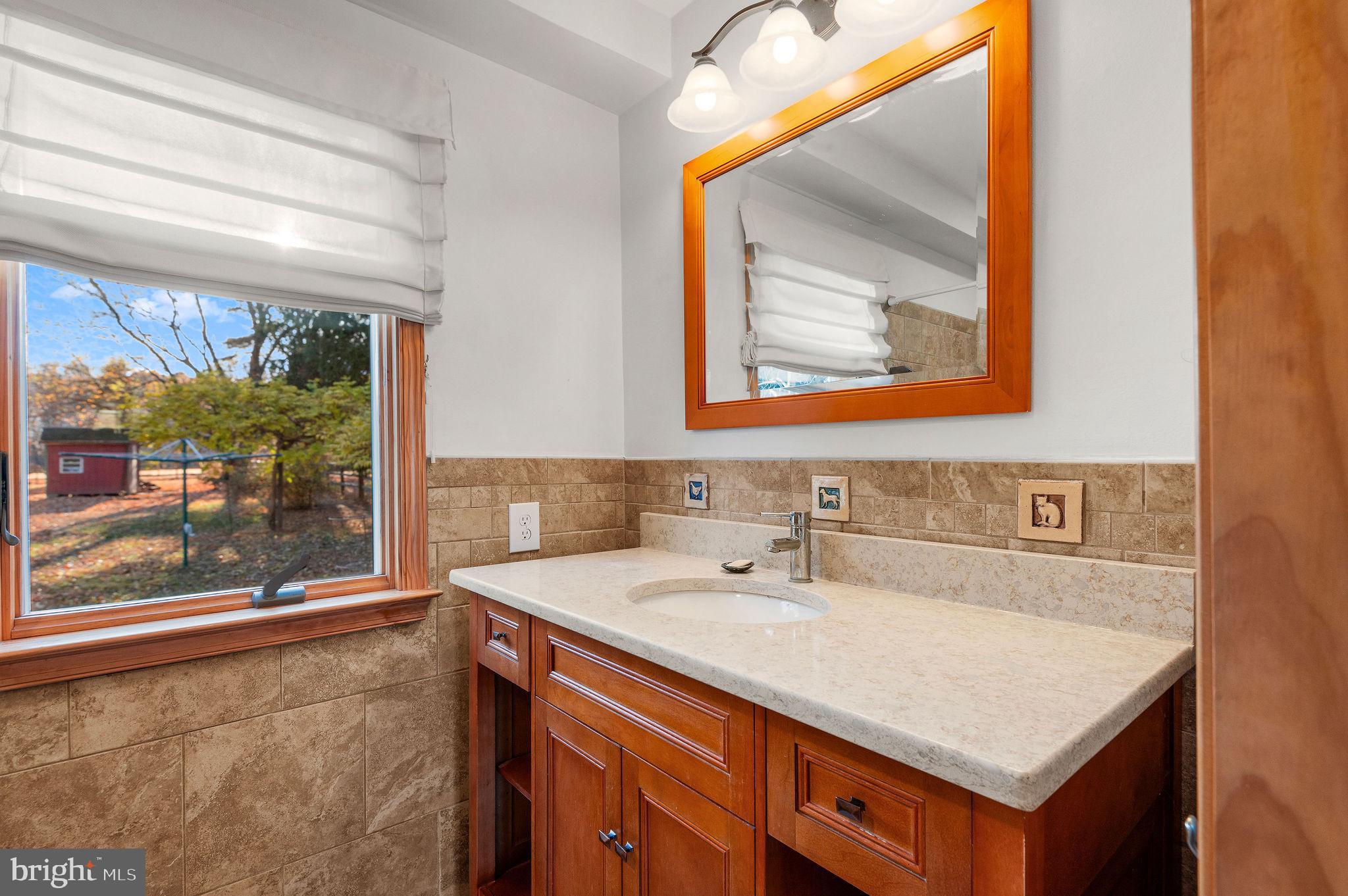 3160 Ash Mill Road Doylestown, PA 18902 - Photo 17 of 37 First floor shower suite sink