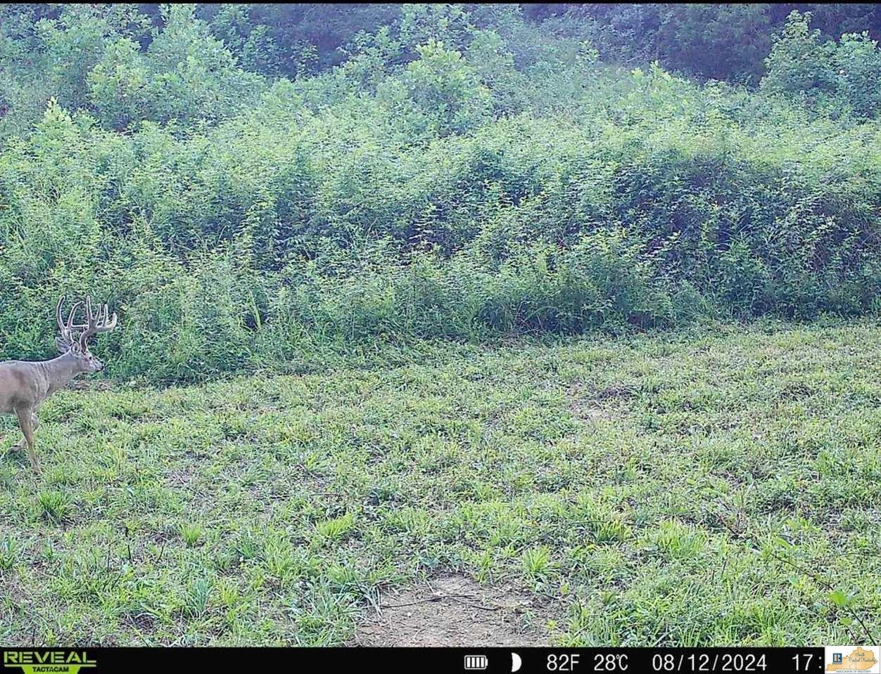 0 Cedar Flat Curtis Road Edmonton, KY 42129 - Photo 74 of 77 Gallery Image 74