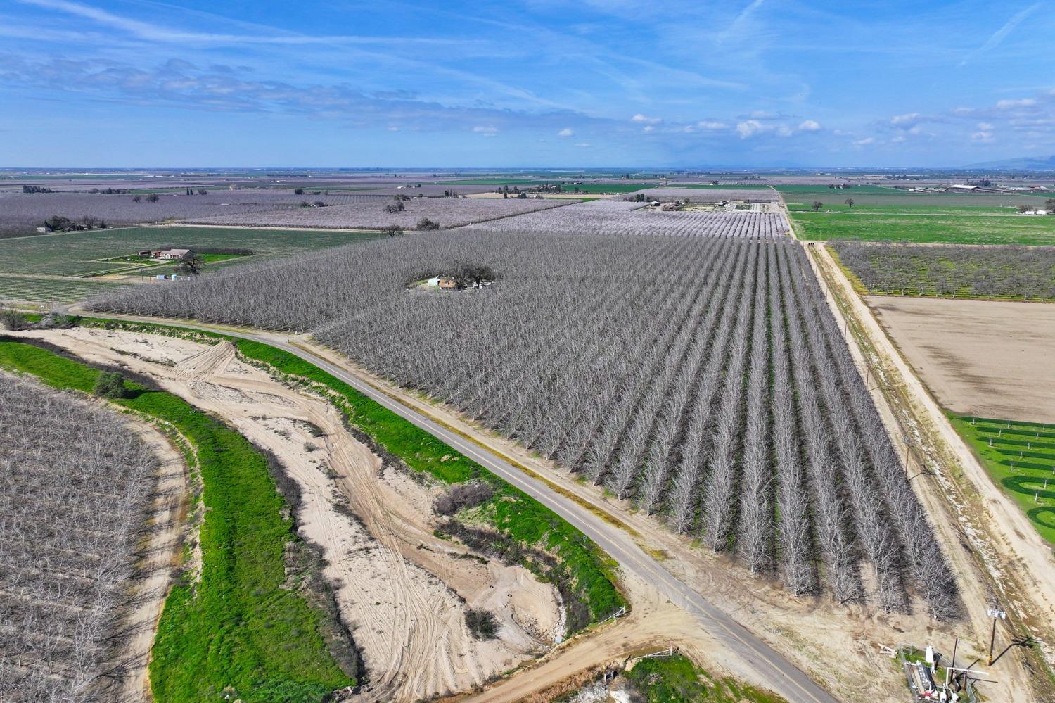 0 Ave 176 Strathmore, CA 93267 - Photo 11 of 20