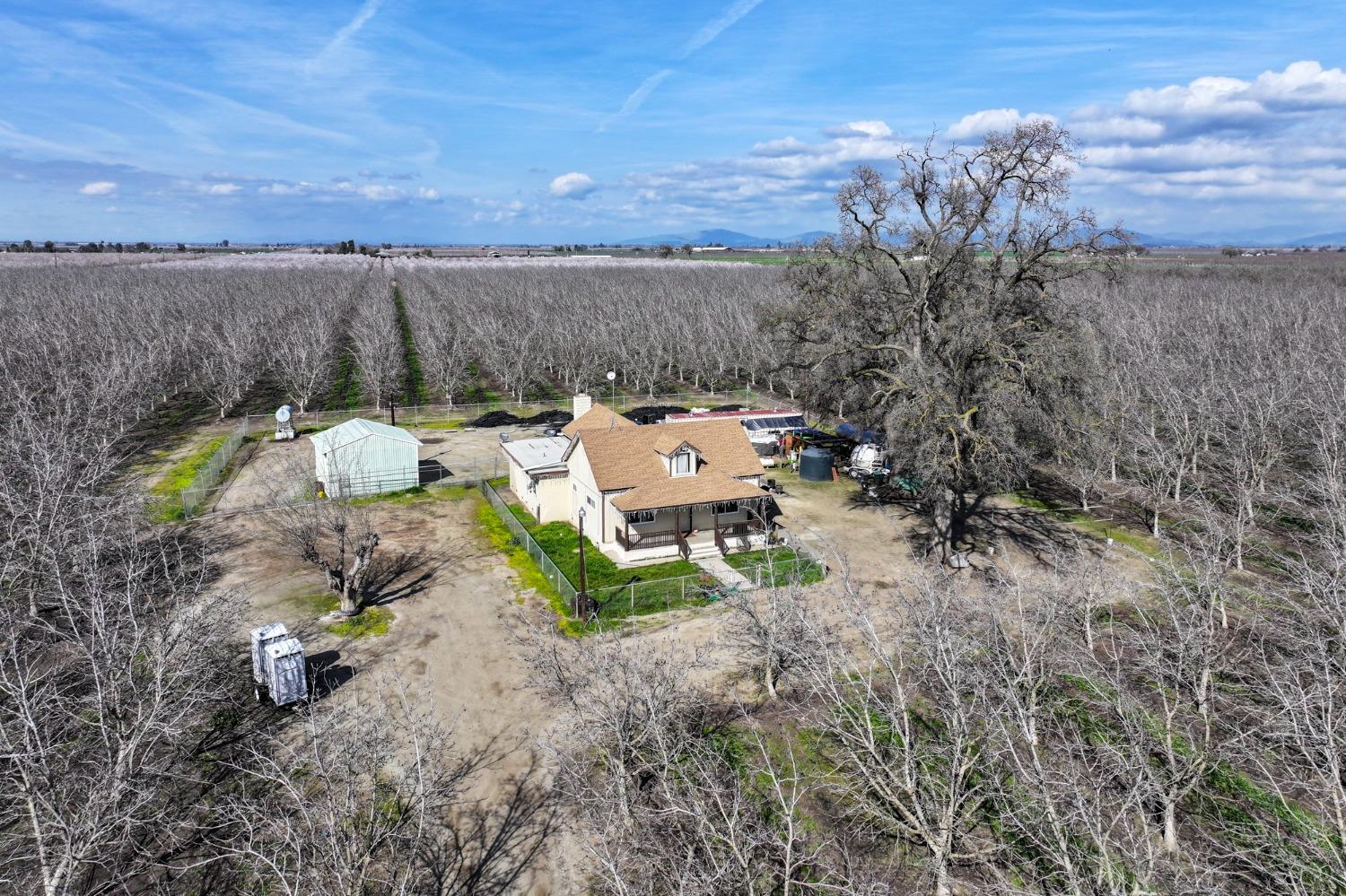 0 Ave 176 Strathmore, CA 93267 - Photo 13 of 20