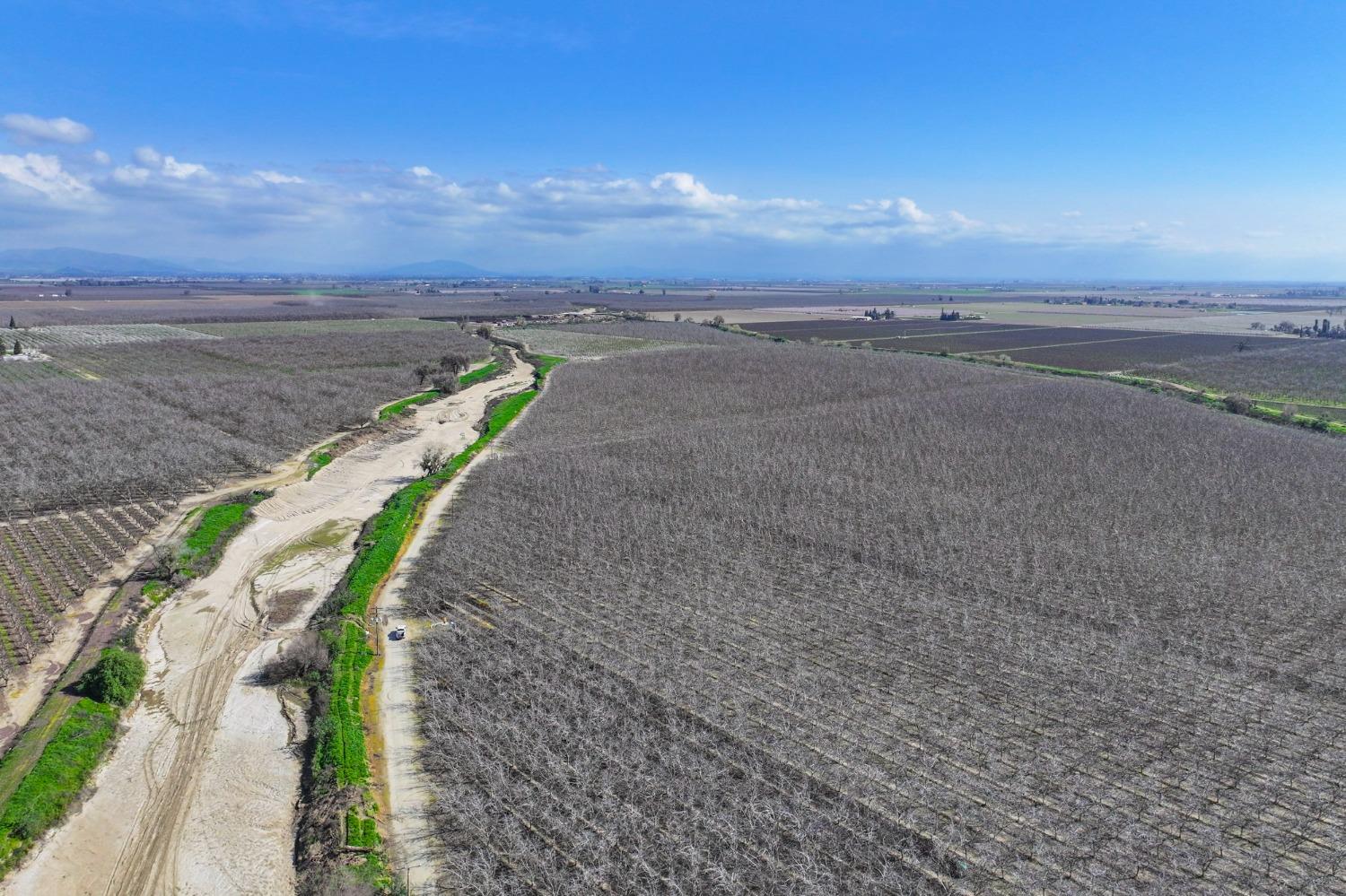 0 Ave 176 Strathmore, CA 93267 - Photo 15 of 20