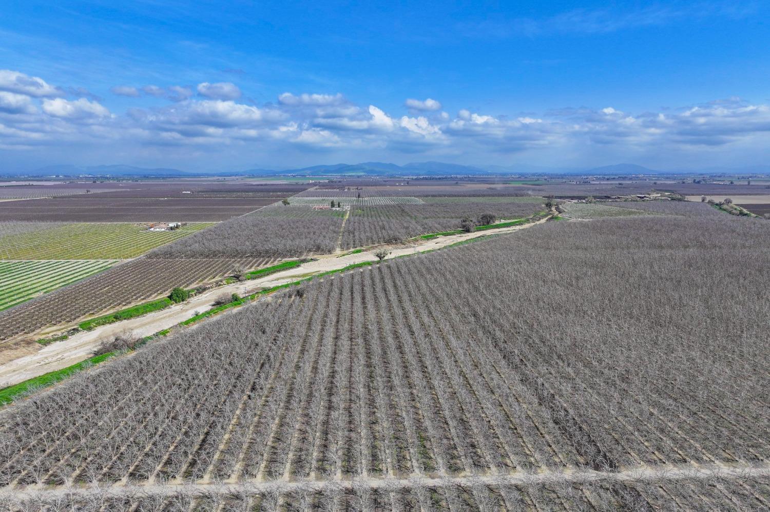 0 Ave 176 Strathmore, CA 93267 - Photo 16 of 20