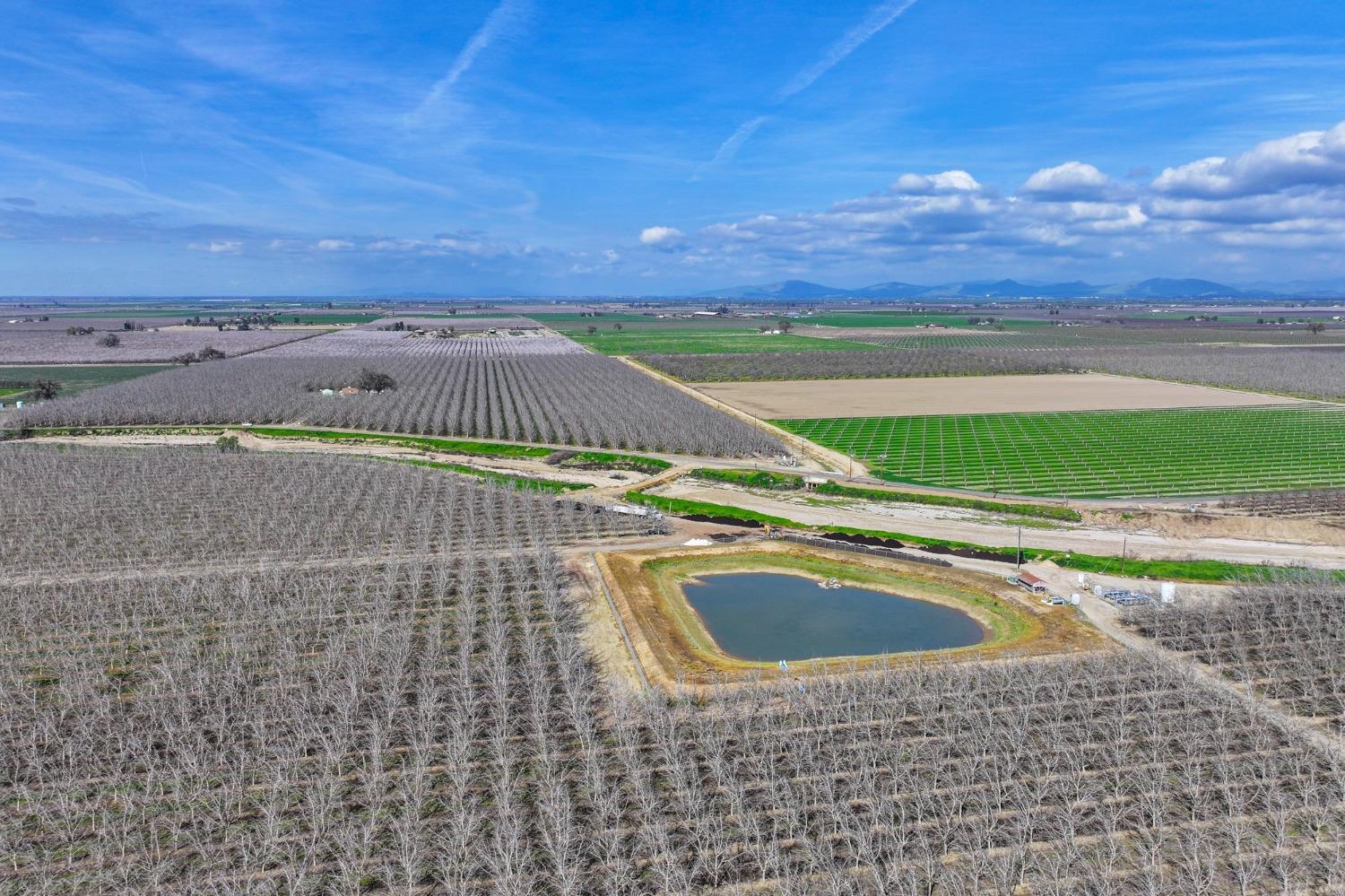 0 Ave 176 Strathmore, CA 93267 - Photo 17 of 20