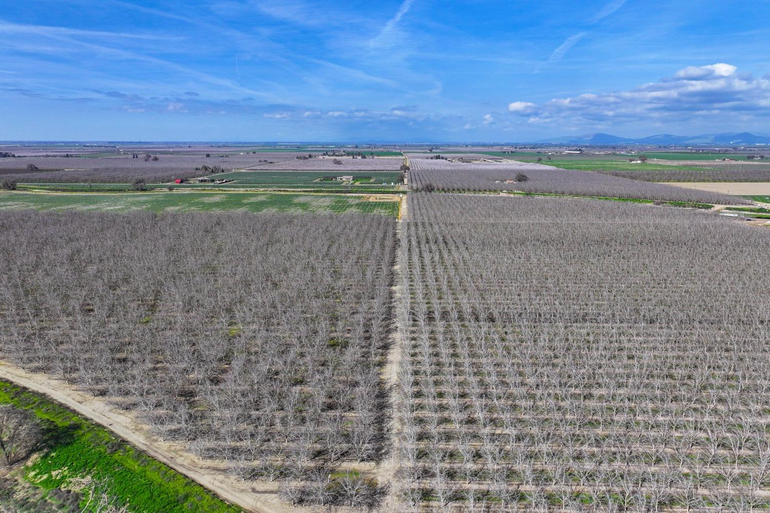 0 Ave 176 Strathmore, CA 93267 - Photo 18 of 20