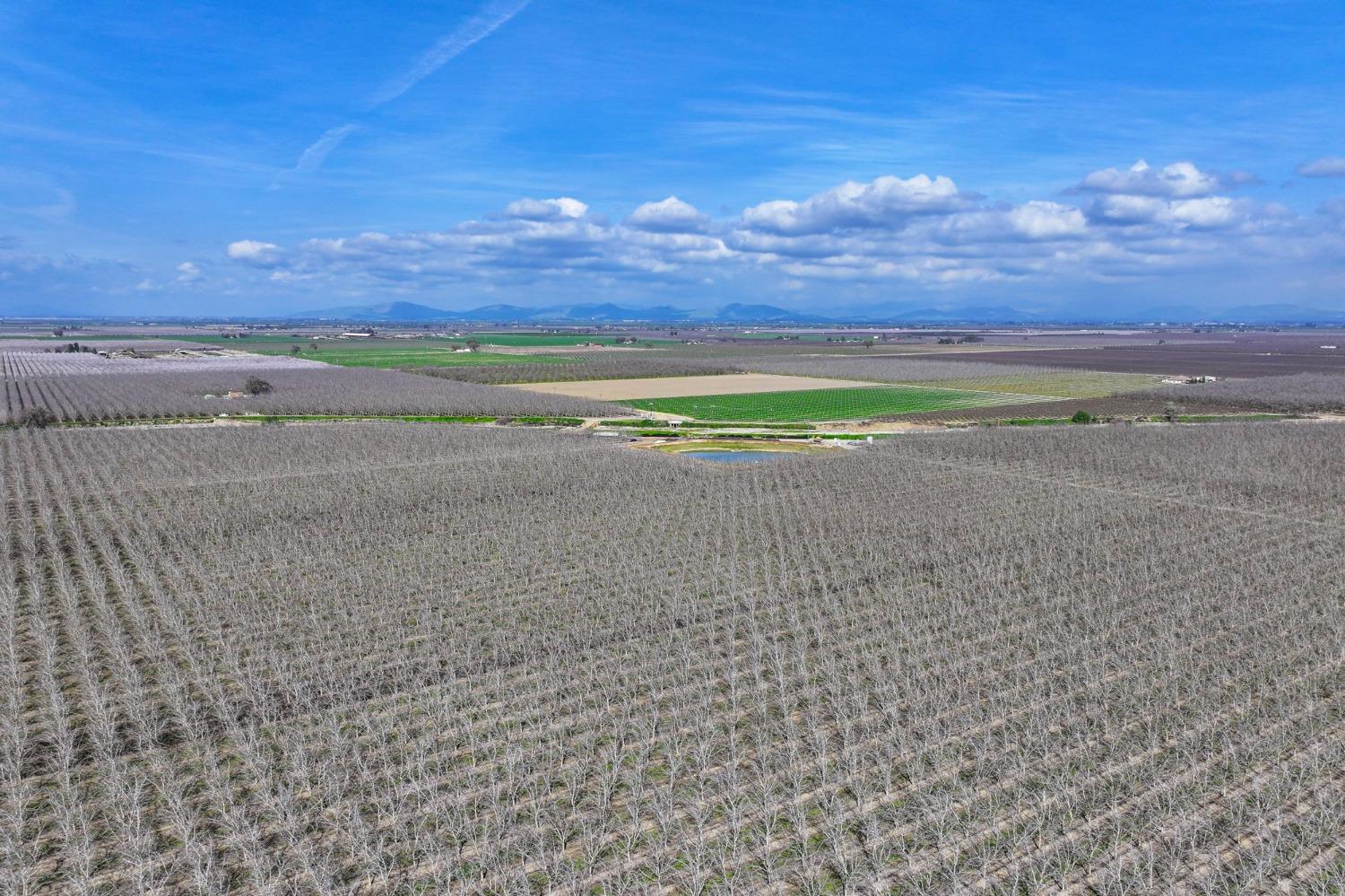 0 Ave 176 Strathmore, CA 93267 - Photo 19 of 20