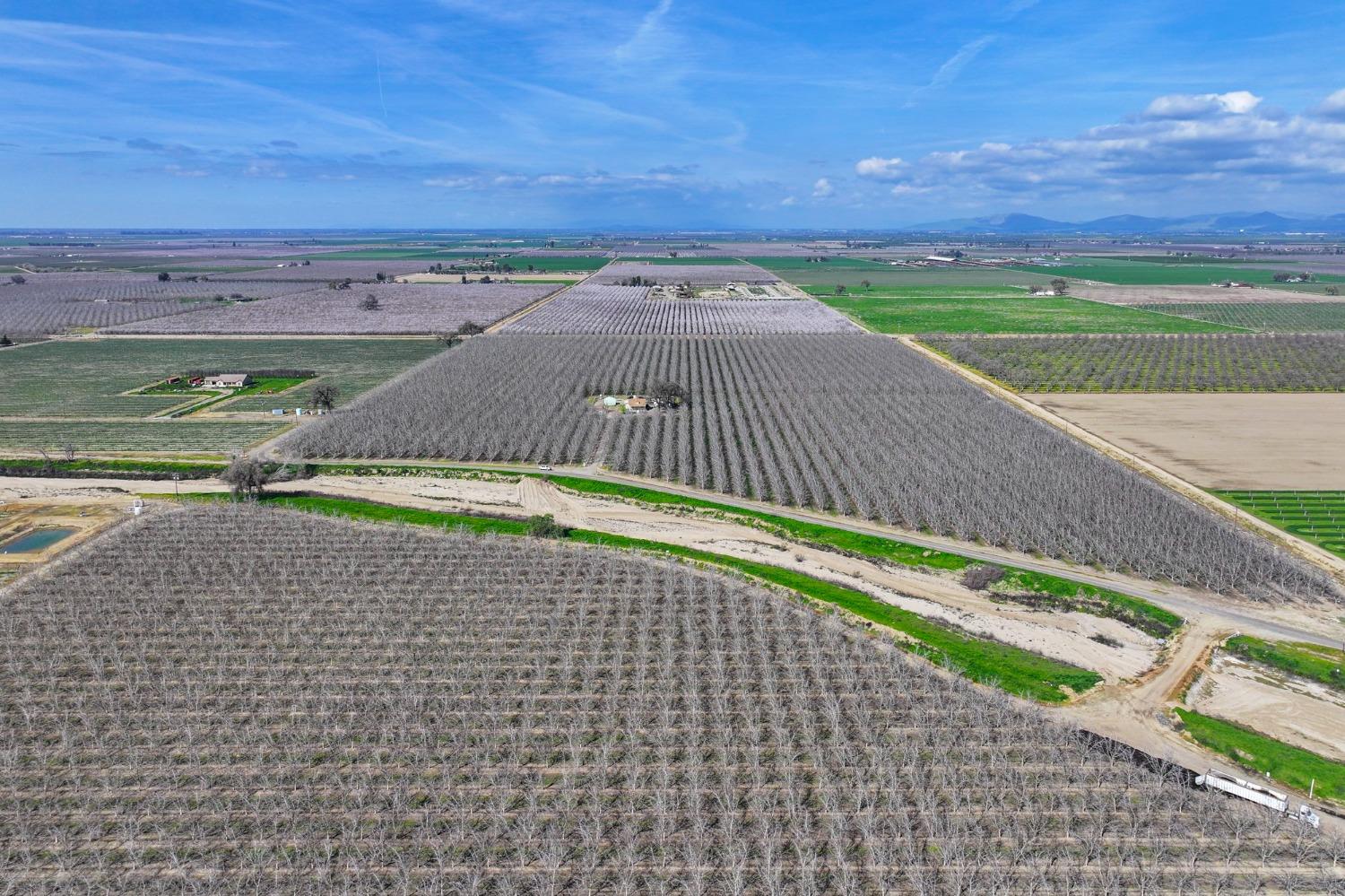 0 Ave 176 Strathmore, CA 93267 - Photo 20 of 20