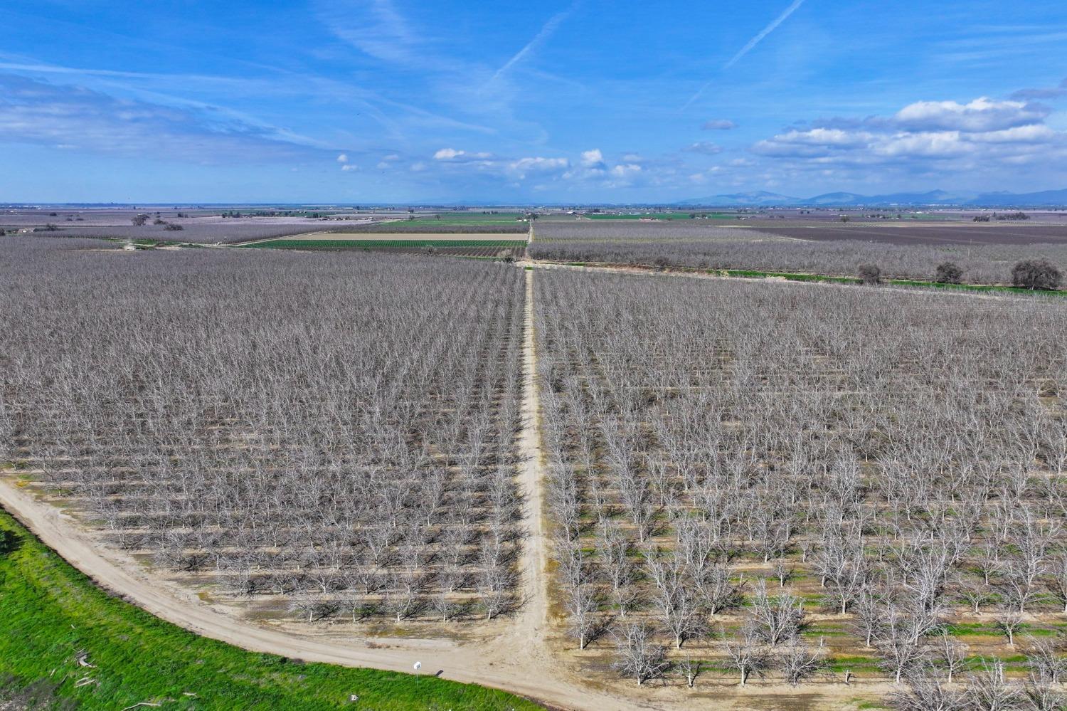 0 Ave 176 Strathmore, CA 93267 - Photo 2 of 20