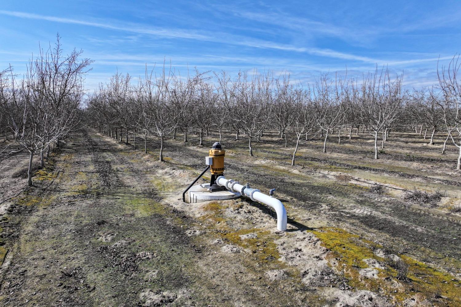 0 Ave 176 Strathmore, CA 93267 - Photo 4 of 20