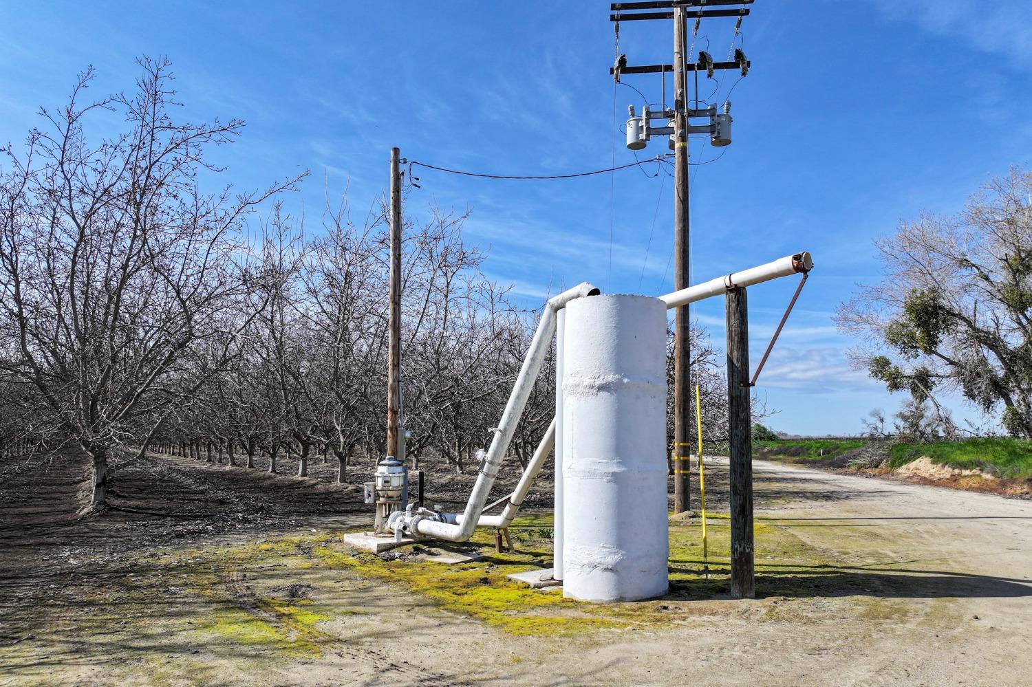 0 Ave 176 Strathmore, CA 93267 - Photo 5 of 20