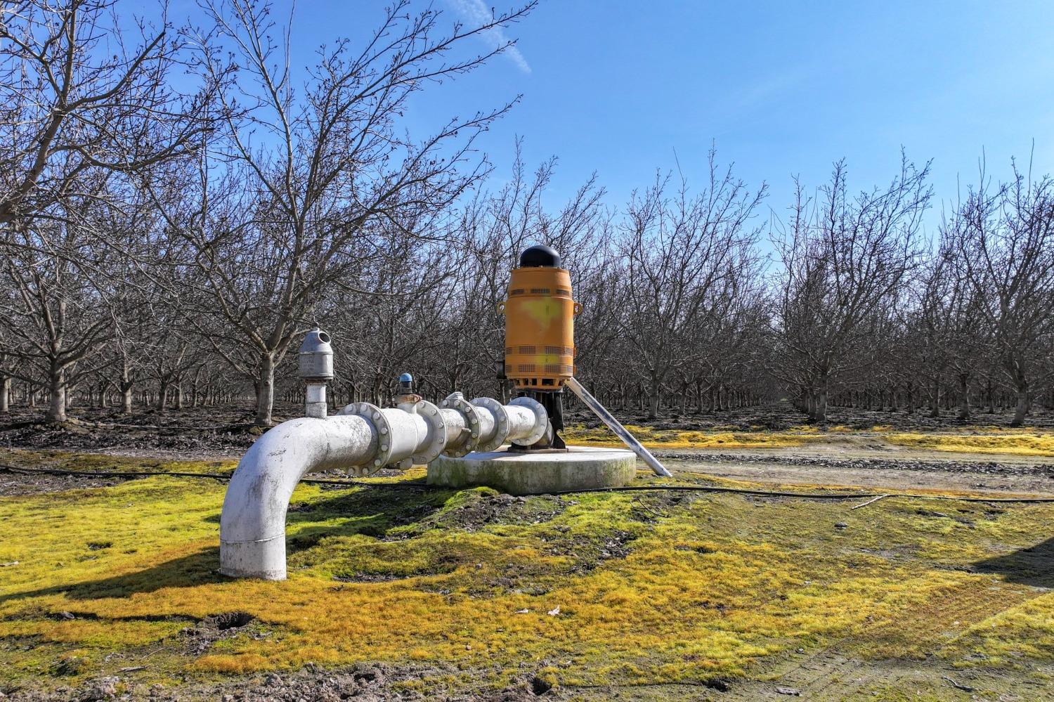 0 Ave 176 Strathmore, CA 93267 - Photo 8 of 20