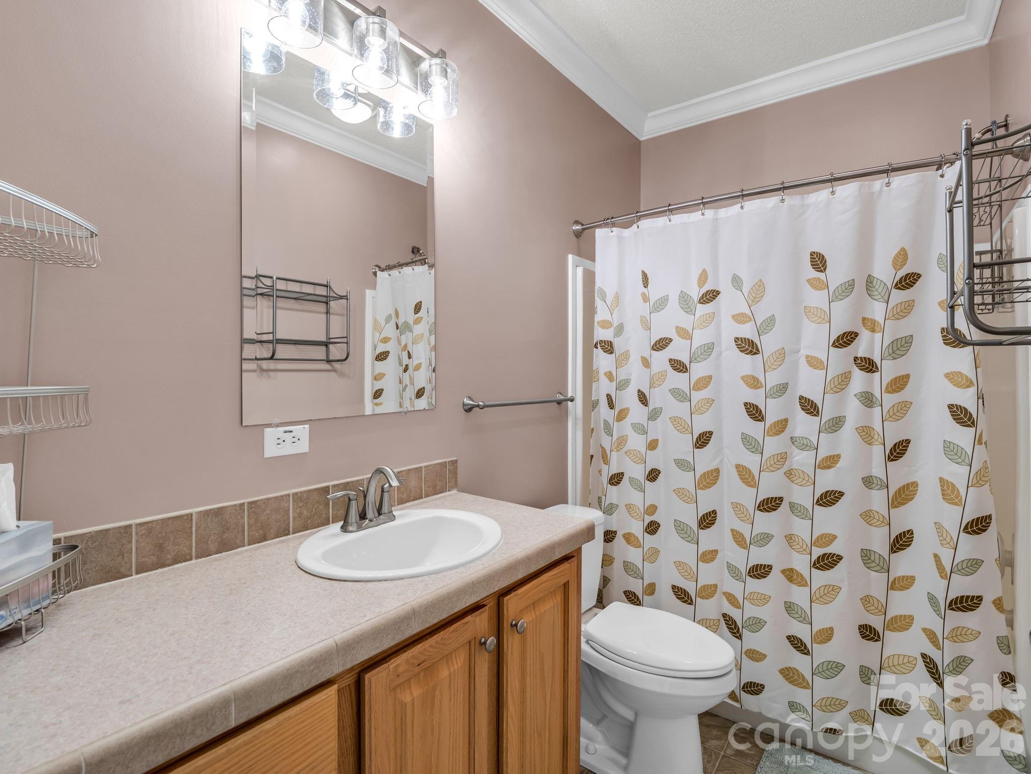 2255 Mt Olivet Road Zirconia, NC 28790 - Photo 22 of 39