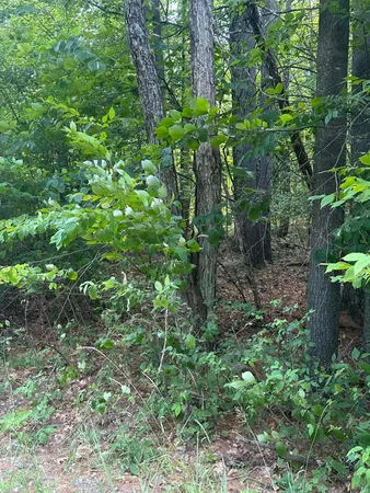 $29,000 | 129 Cottontail Lane, Jay, NY 12941