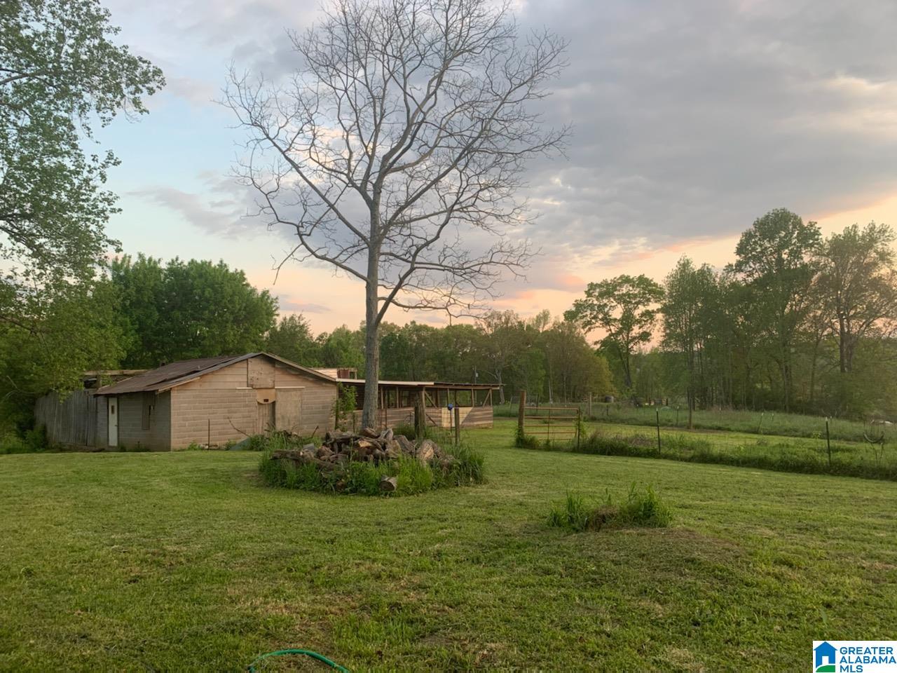 1286 County Road 667 Ranburne, AL 36273 - Photo 23 of 28
