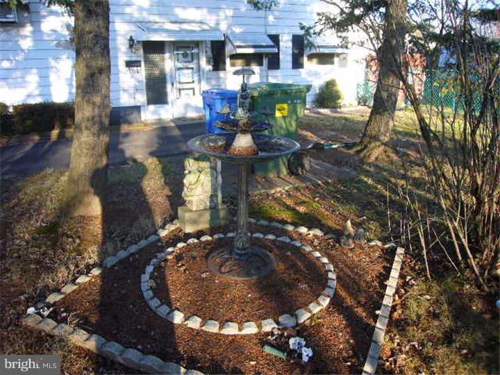 Side Yard