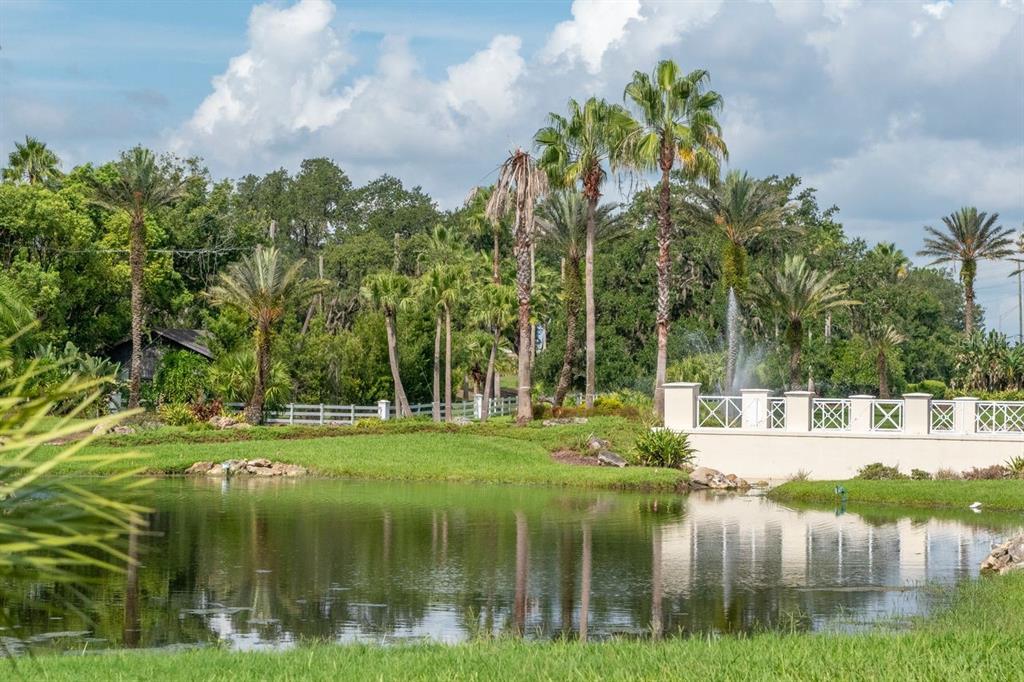 4947 Mill Pond Road, Unit 3104/3106 Wesley Chapel, FL 33543 - Photo 23 of 31
