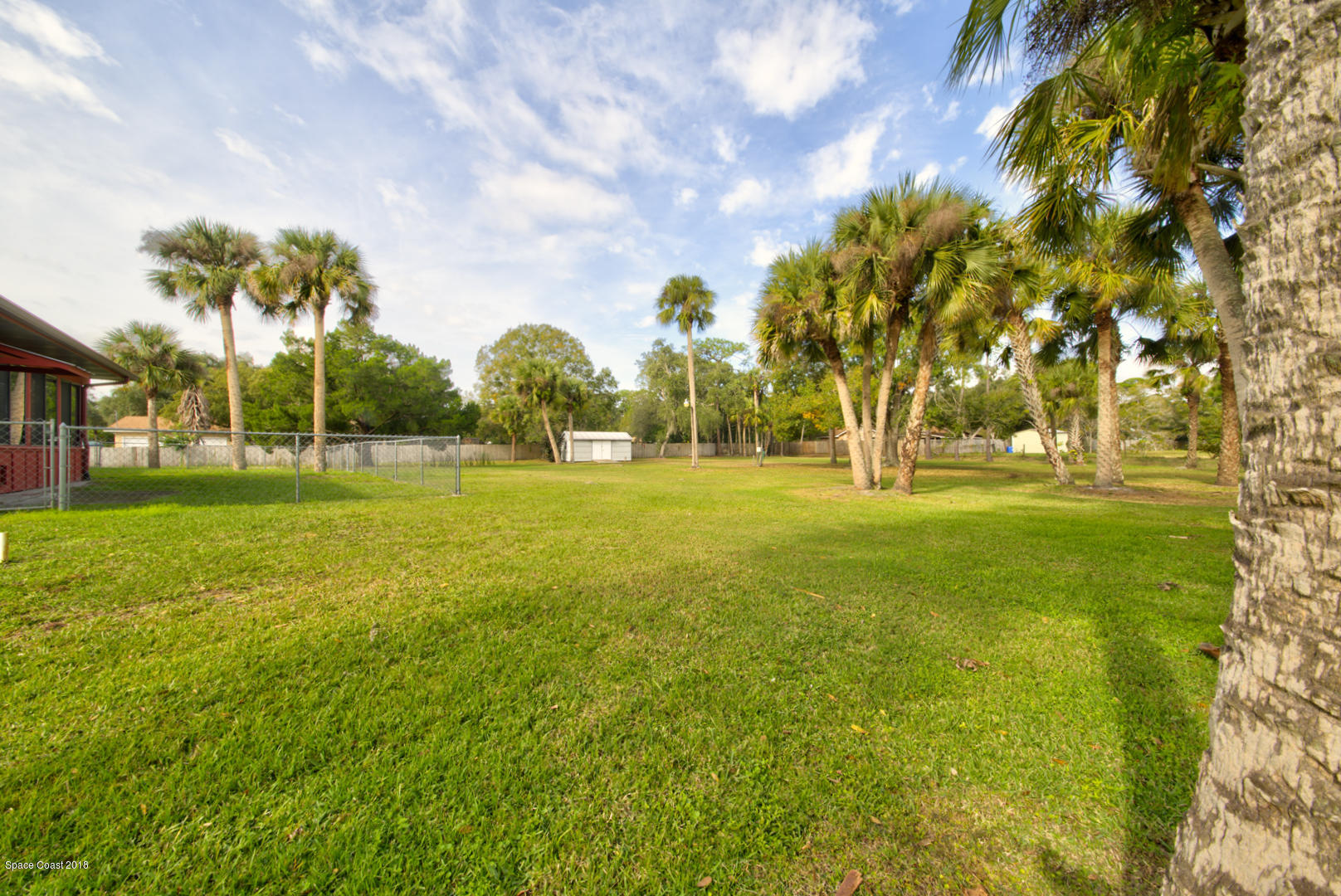 4660 Rector Road Cocoa, FL 32926 - Photo 34 of 56 backyard with palm trees