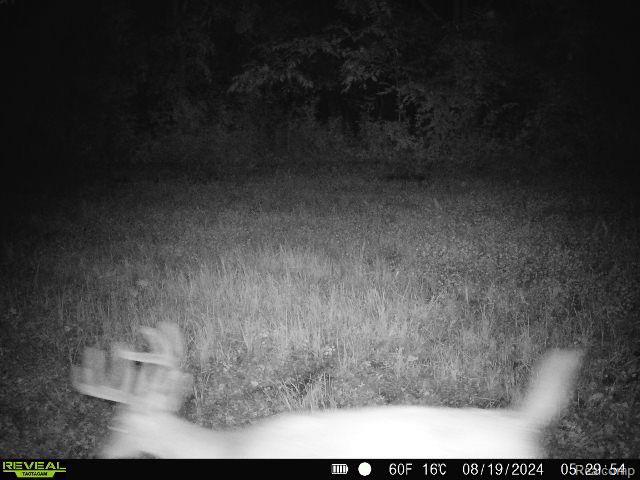 V/l Blake Road Jackson, MI 49202 - Photo 79 of 97 Gallery Image 79