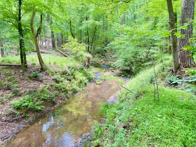 0 Pete Johnson Road Tignall, GA 30668 - Photo 3 of 43 Ferns and Creek
