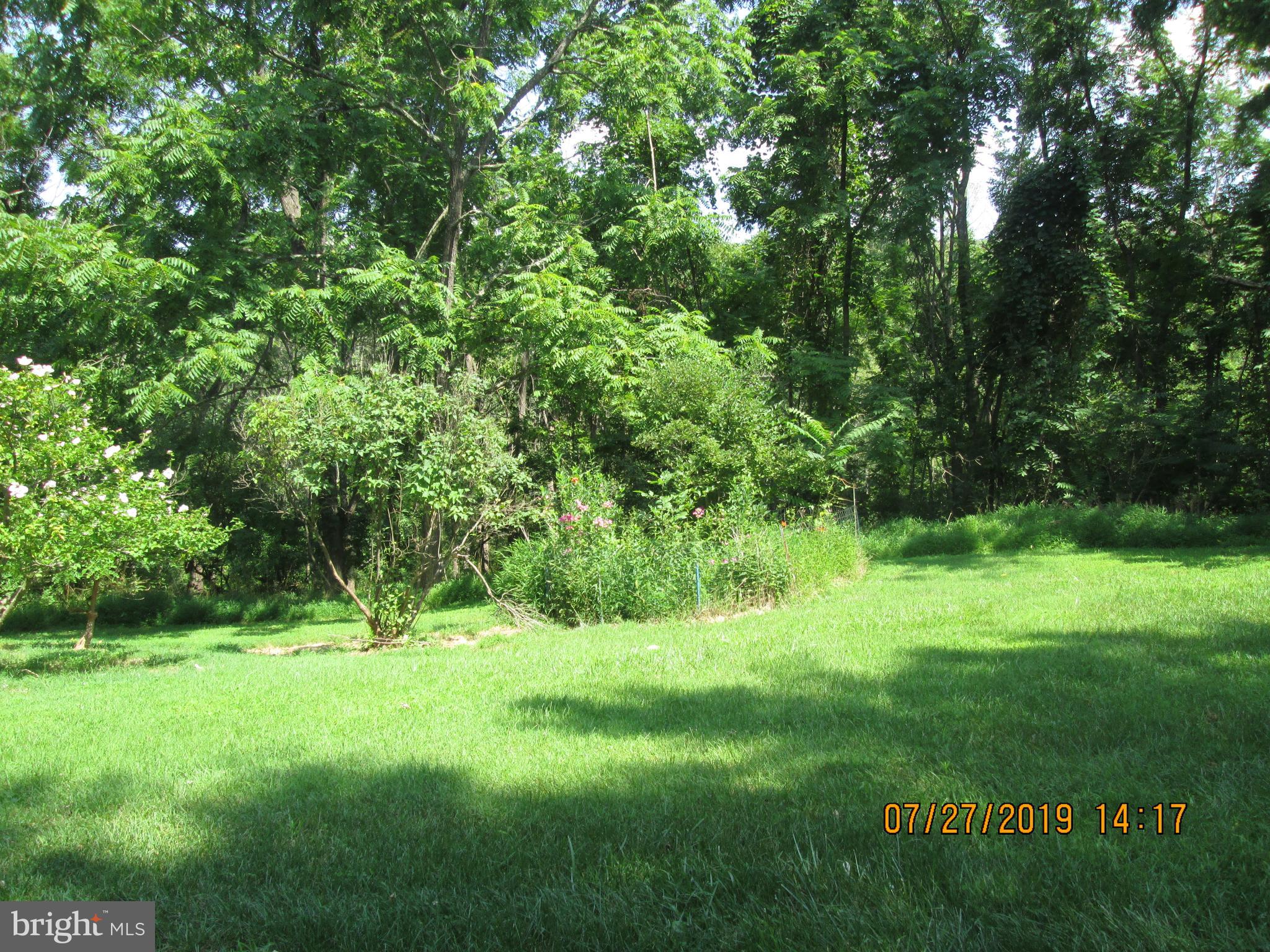 295 Hunters Road Gore, VA 22637 - Photo 5 of 16