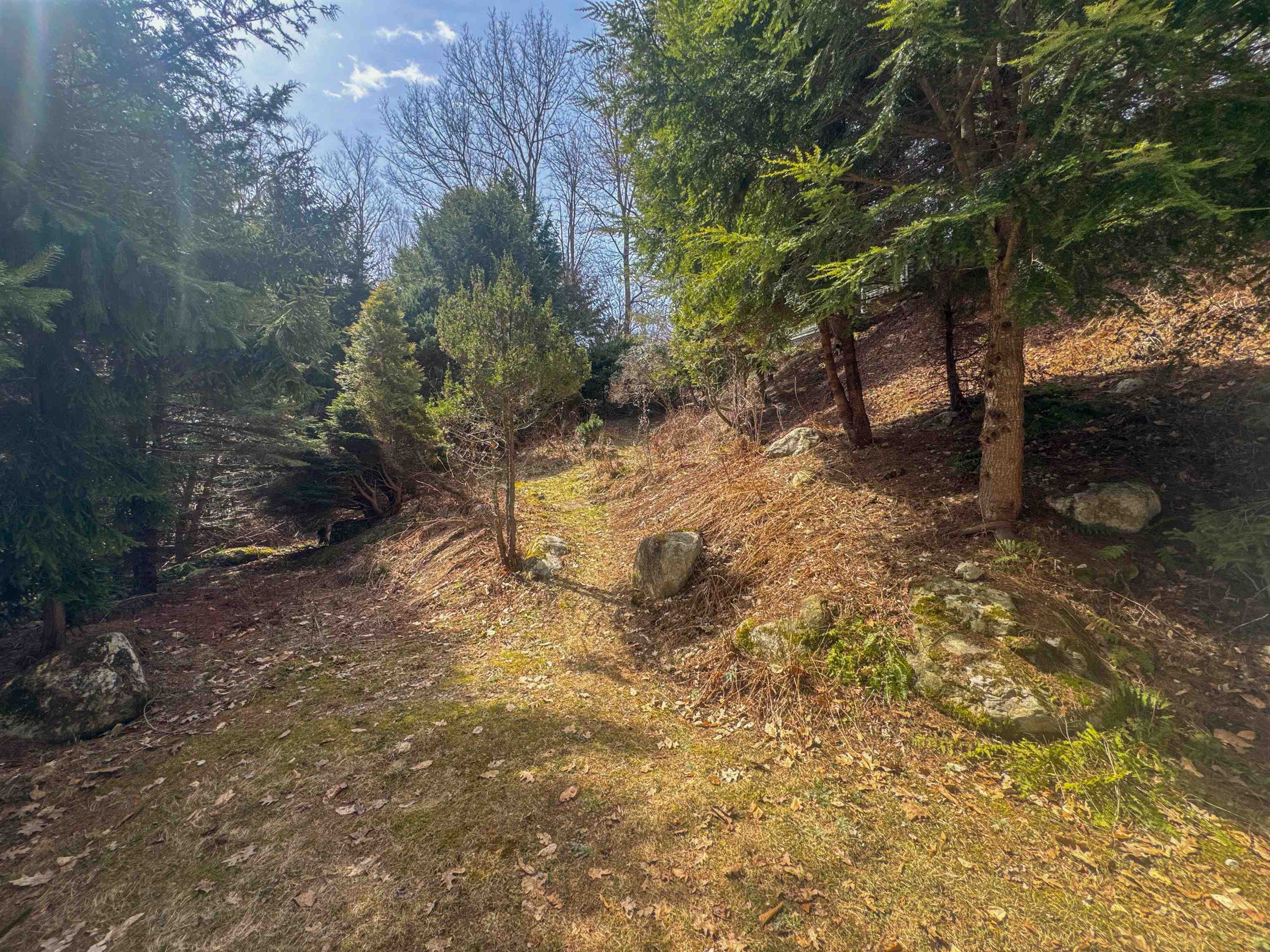 1658 Vermont Rte 100 Ludlow, VT 05149 - Photo 20 of 34