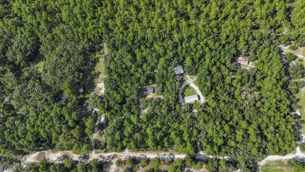 1040 Hassell Road Tallahassee, FL 32305 - Photo 52 of 53