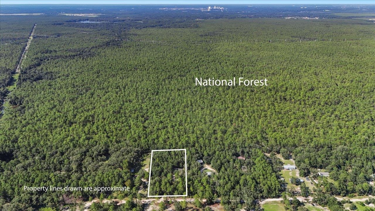 1040 Hassell Road Tallahassee, FL 32305 - Photo 6 of 53