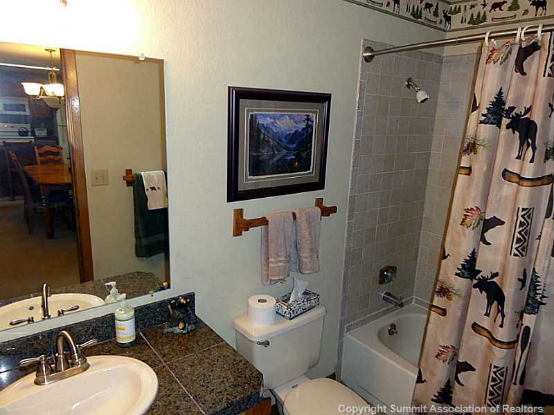 89310 Ryan Gulch Road, Unit 303CC Silverthorne, CO 80498 - Photo 16 of 21 Bathroom.