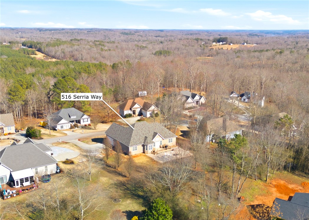 516 Serria Way Seneca, SC 29678 - Photo 40 of 44
