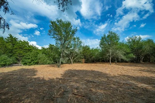 a backyard of a house with lots of green space