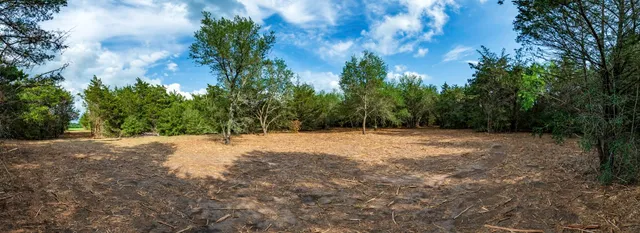 a view of yard with large trees
