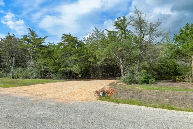 a view of outdoor space with trees