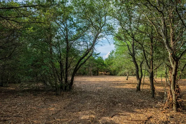 a backyard of a house with a yard and tree s