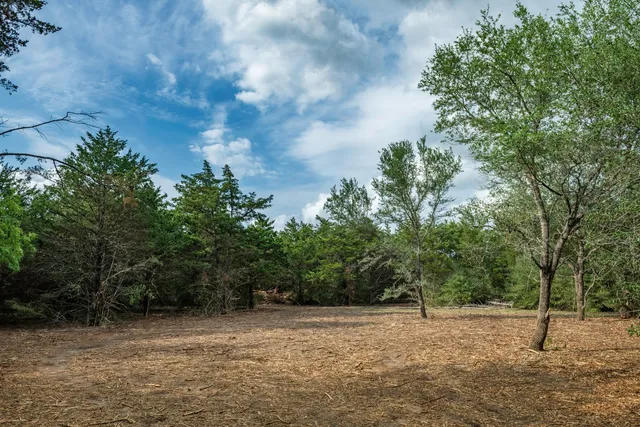 a view of backyard with green space